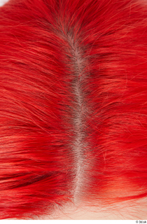 Groom references Lady Winters  005 braided tail head red…